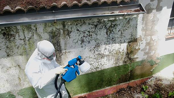 Top rated local Mold Inspection And Testing specialists in Livingston, TN